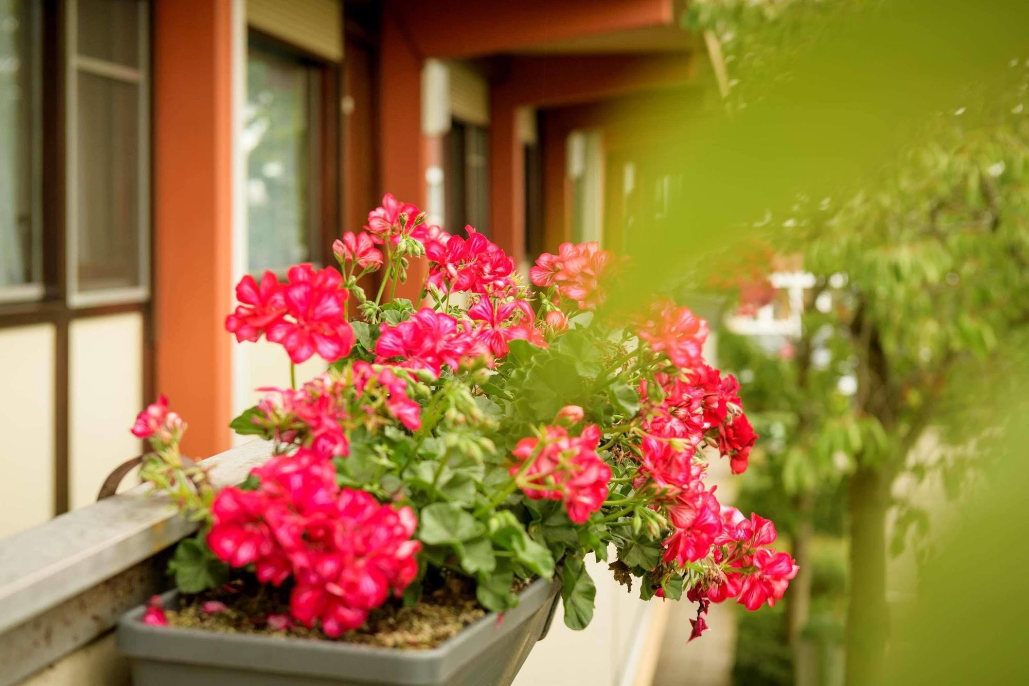 Campanile Hotel & Restaurant Λεουβάρντεν Εξωτερικό φωτογραφία